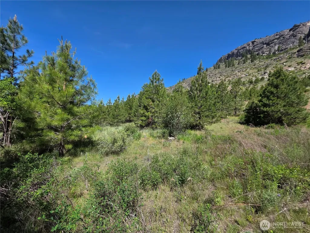431 Swanson Hill Road Tonasket WA 98855