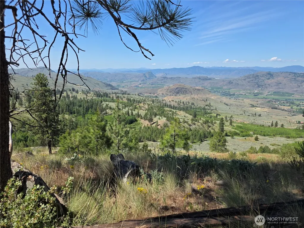 431 Swanson Hill Road Tonasket WA 98855