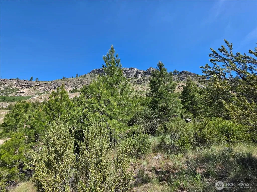431 Swanson Hill Road Tonasket WA 98855
