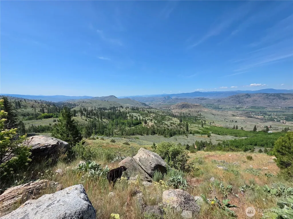 431 Swanson Hill Road Tonasket WA 98855