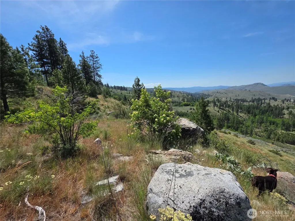 431 Swanson Hill Road Tonasket WA 98855