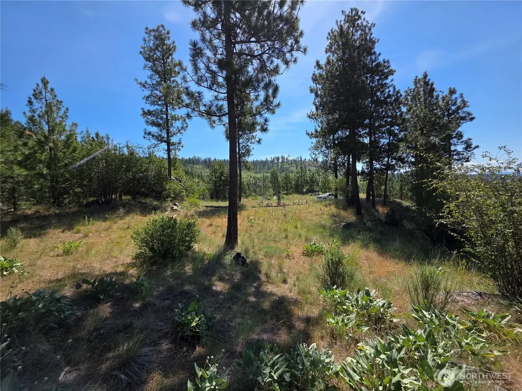 431 Swanson Hill Road Tonasket WA 98855