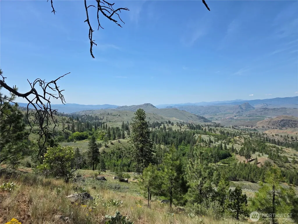 431 Swanson Hill Road Tonasket WA 98855