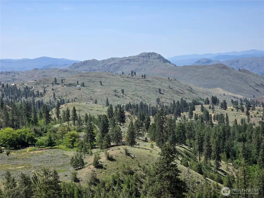 431 Swanson Hill Road Tonasket WA 98855