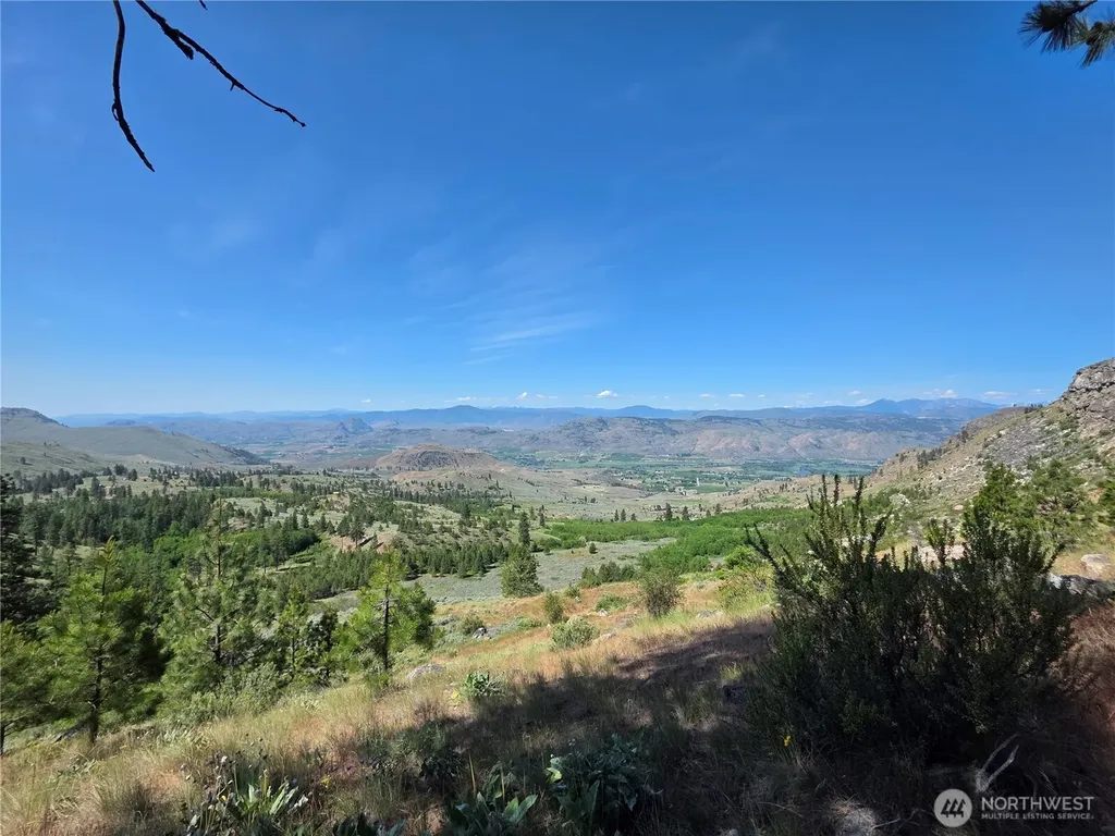431 Swanson Hill Road Tonasket WA 98855