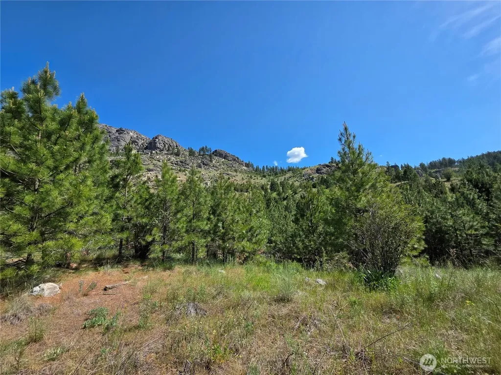 431 Swanson Hill Road Tonasket WA 98855