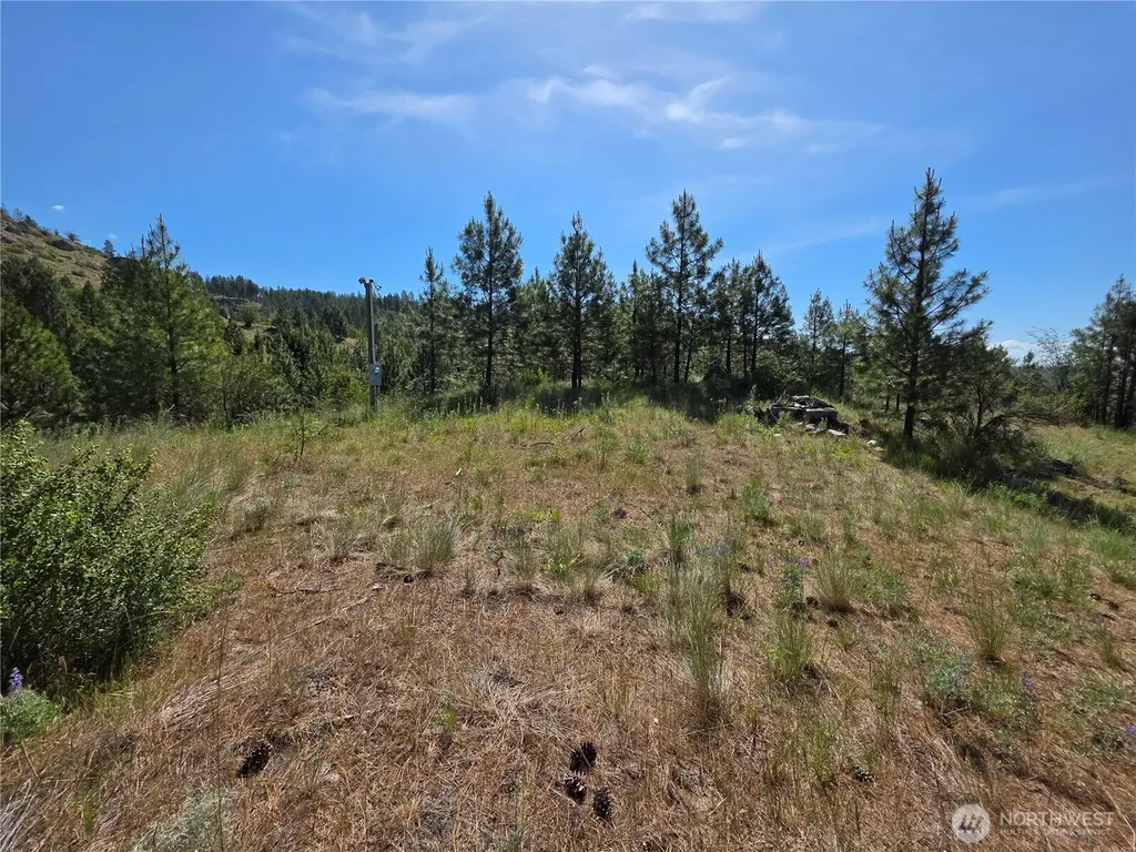 431 Swanson Hill Road Tonasket WA 98855