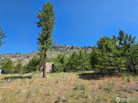431 Swanson Hill Road Tonasket WA 98855