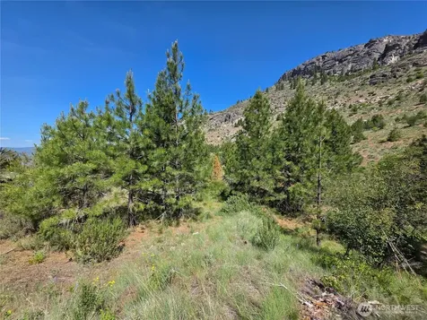 431 Swanson Hill Road Tonasket WA 98855