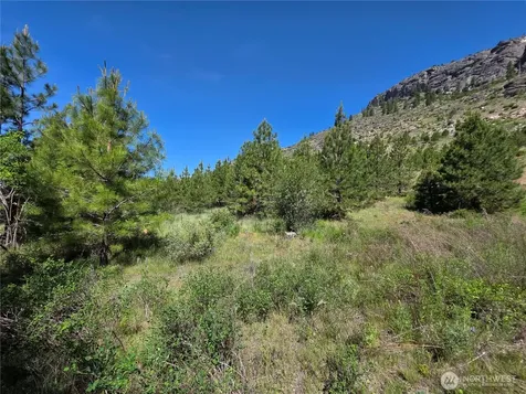 431 Swanson Hill Road Tonasket WA 98855