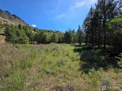 431 Swanson Hill Road Tonasket WA 98855