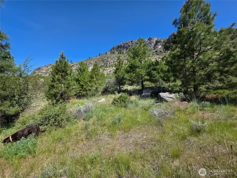431 Swanson Hill Road Tonasket WA 98855