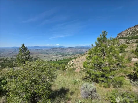 431 Swanson Hill Road Tonasket WA 98855