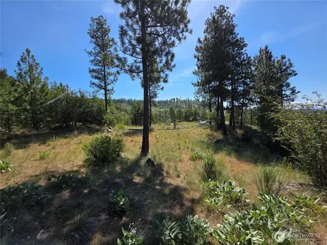 431 Swanson Hill Road Tonasket WA 98855