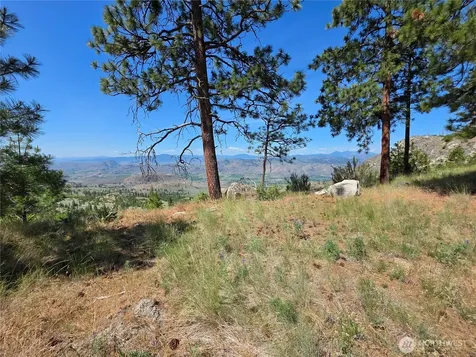 431 Swanson Hill Road Tonasket WA 98855