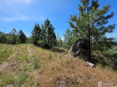 431 Swanson Hill Road Tonasket WA 98855