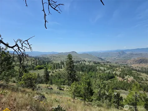 431 Swanson Hill Road Tonasket WA 98855