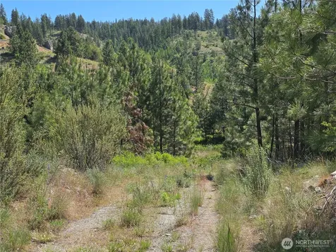 431 Swanson Hill Road Tonasket WA 98855