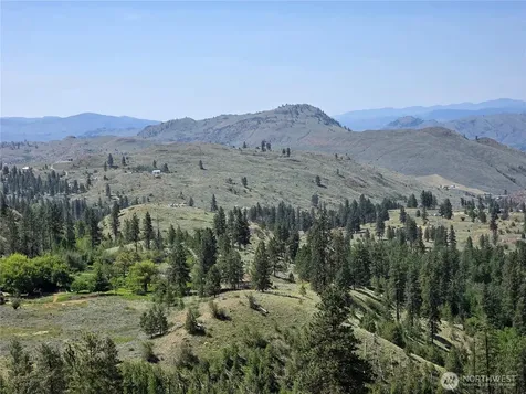 431 Swanson Hill Road Tonasket WA 98855