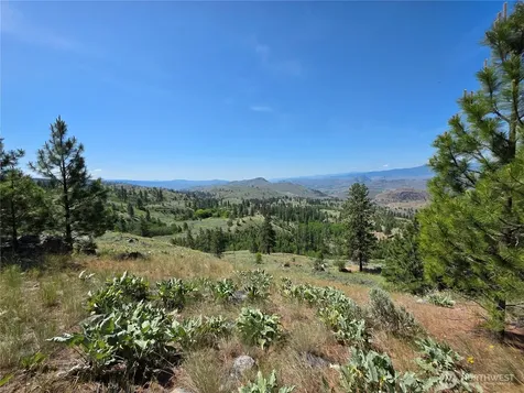 431 Swanson Hill Road Tonasket WA 98855