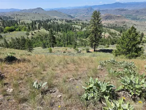 431 Swanson Hill Road Tonasket WA 98855