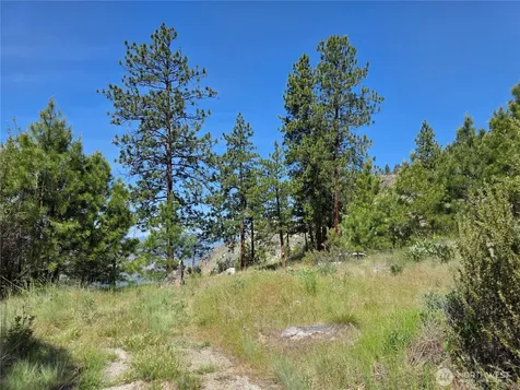 431 Swanson Hill Road Tonasket WA 98855