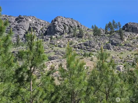 431 Swanson Hill Road Tonasket WA 98855