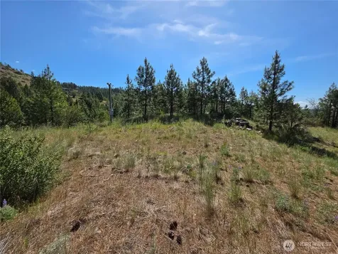 431 Swanson Hill Road Tonasket WA 98855