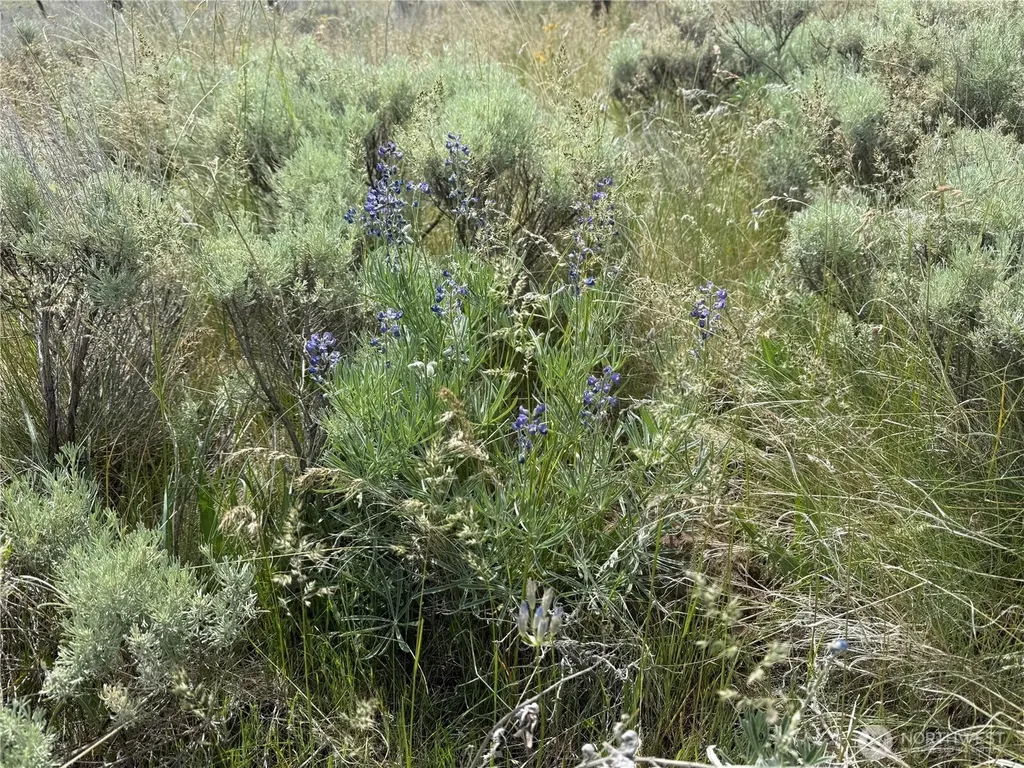 0 Road M SW Waterville WA 98858