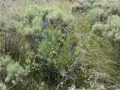 0 Road M SW Waterville WA 98858