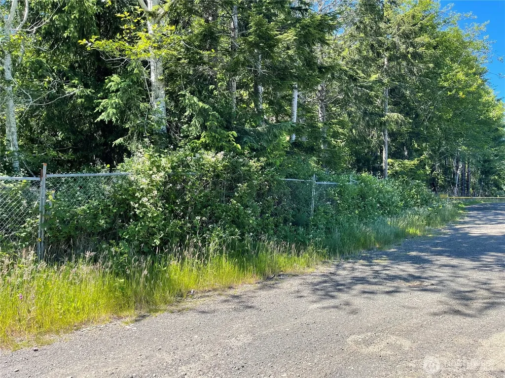20 Keal Road Copalis Beach WA 98535