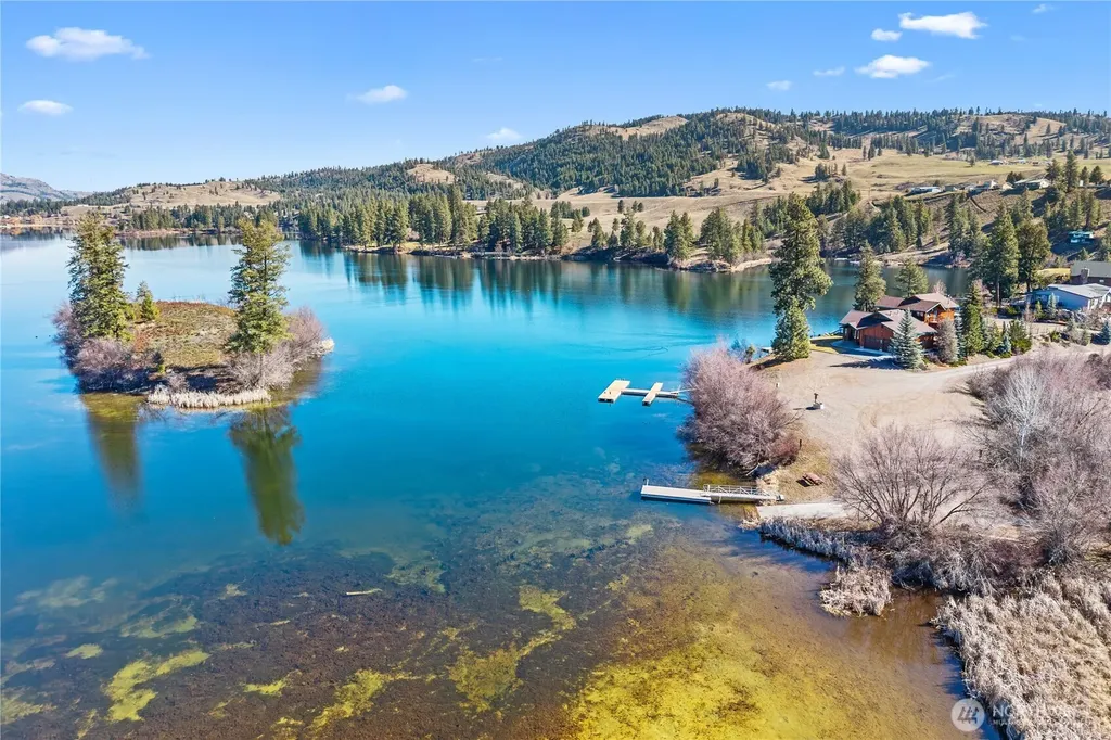 81 Curlew Drive Republic WA 99166