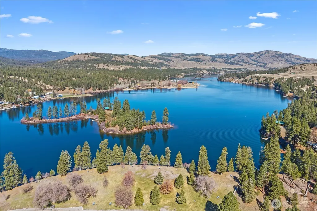 81 Curlew Drive Republic WA 99166
