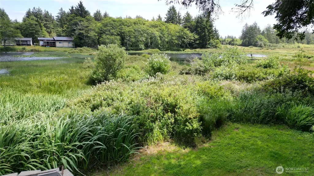 24004 Birch Place Ocean Park WA 98640