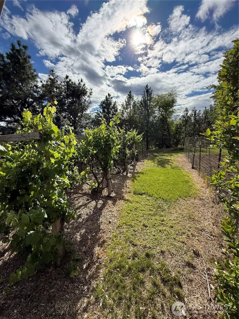 24 Valley View Drive Omak WA 98841