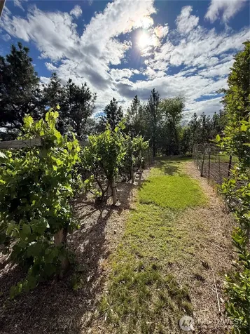 24 Valley View Drive Omak WA 98841