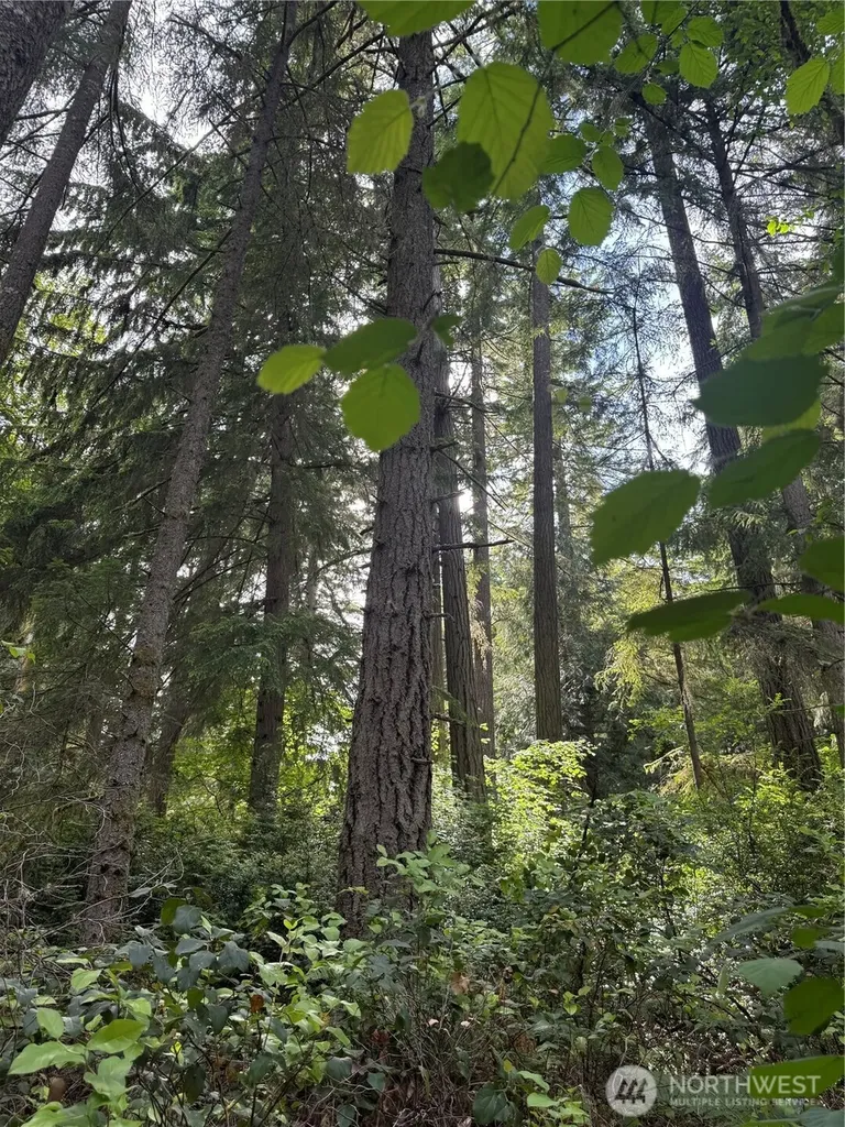 11717 Mill Place Anderson Island WA 98303