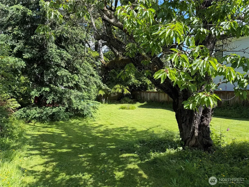 3218 NE 97th Street Seattle WA 98115