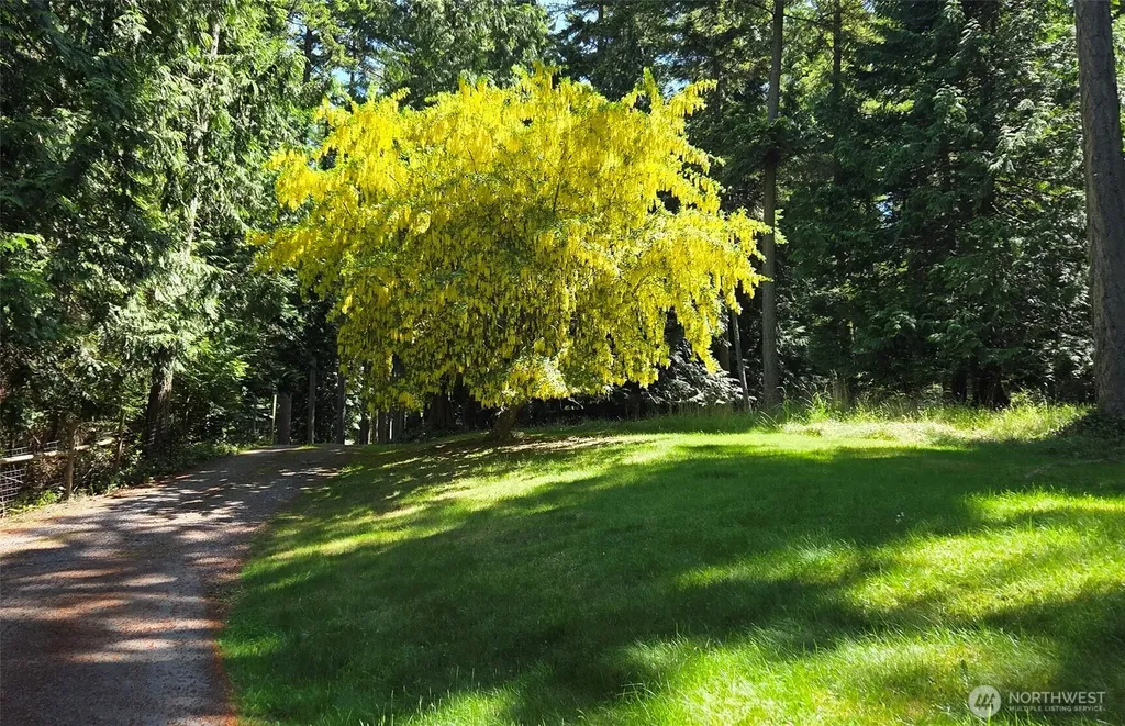 1311 Lopez Road Lopez Island WA 98261