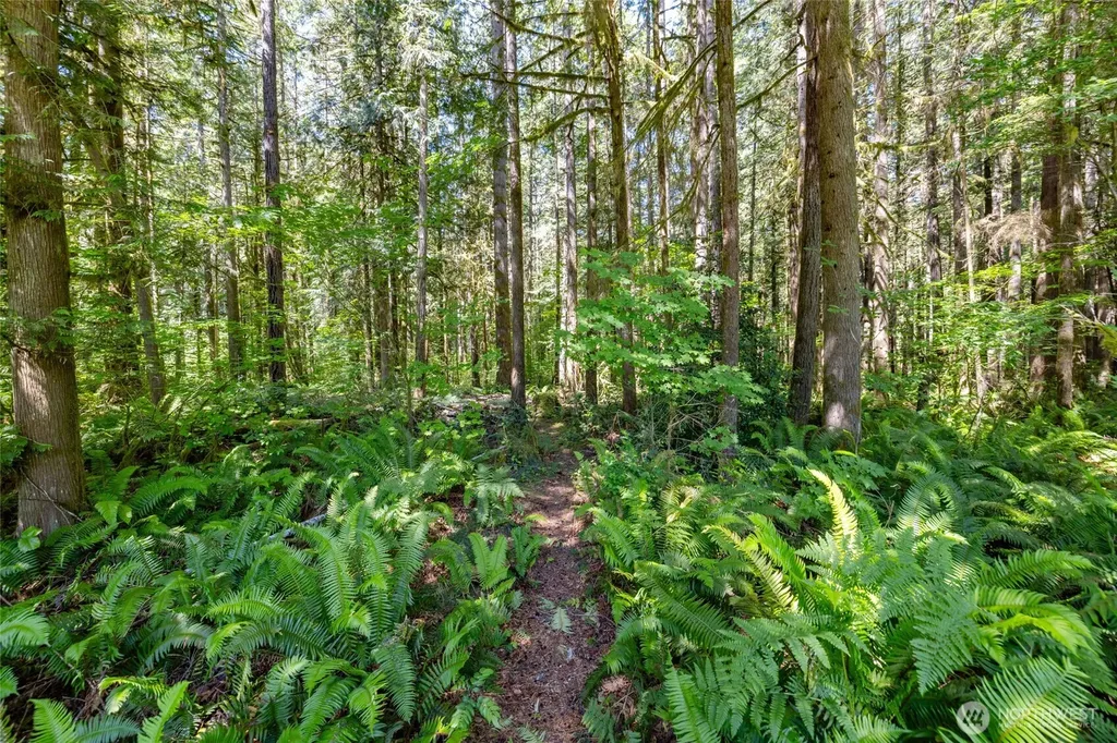 8738 Timberland Court Concrete WA 98237