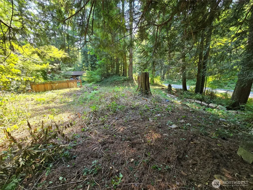 27703 NE 35th Street NE Redmond WA 98053