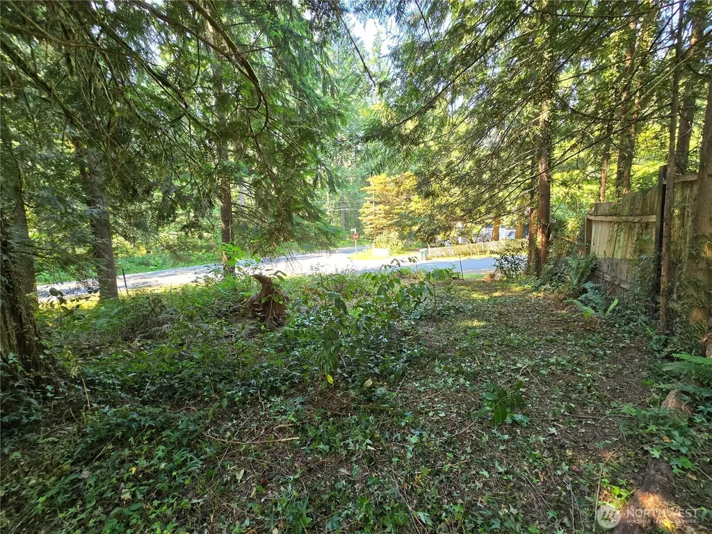 27703 NE 35th Street NE Redmond WA 98053