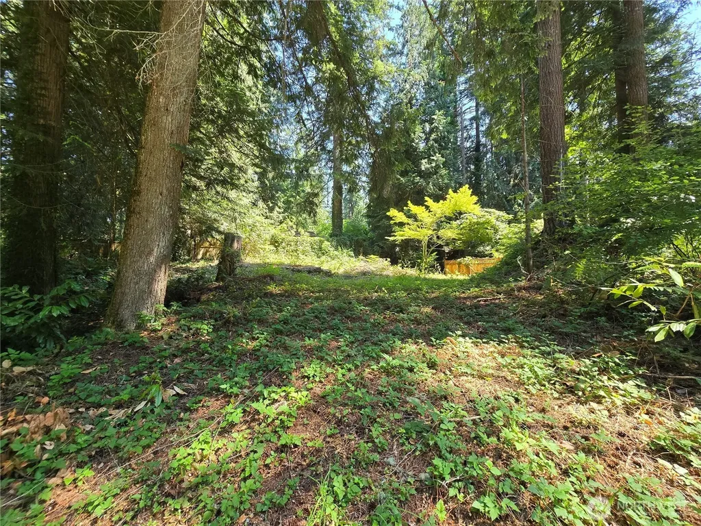 27703 NE 35th Street NE Redmond WA 98053