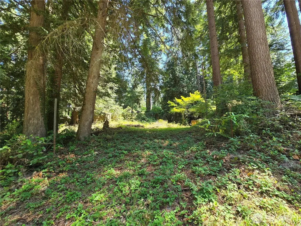 27703 NE 35th Street NE Redmond WA 98053