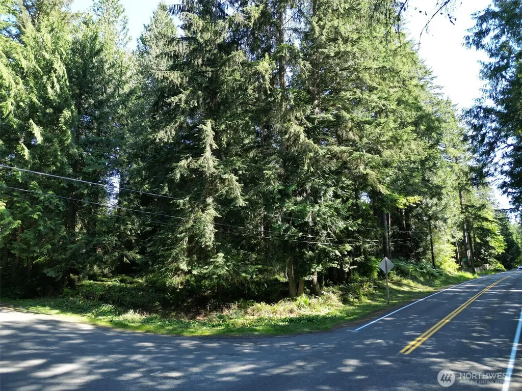 27703 NE 35th Street NE Redmond WA 98053