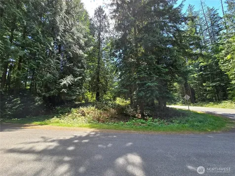 27703 NE 35th Street NE Redmond WA 98053