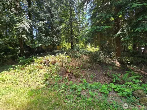 27703 NE 35th Street NE Redmond WA 98053