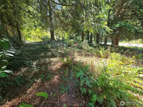 27703 NE 35th Street NE Redmond WA 98053