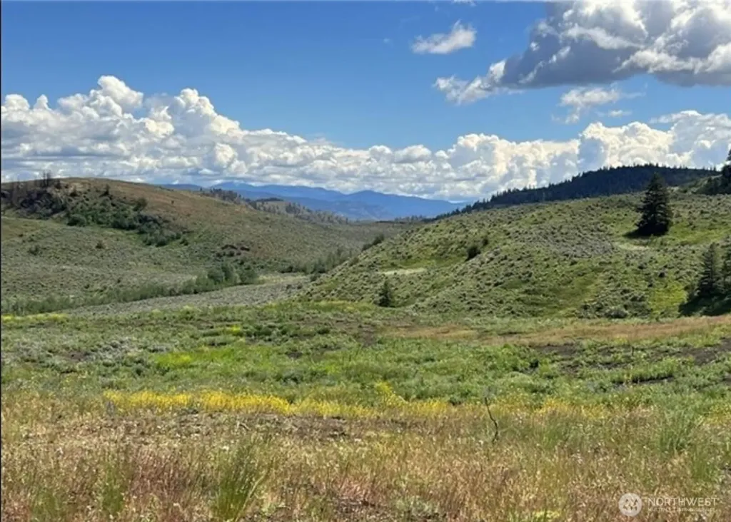 0 Ellemeham Mountain Road Oroville WA 98844