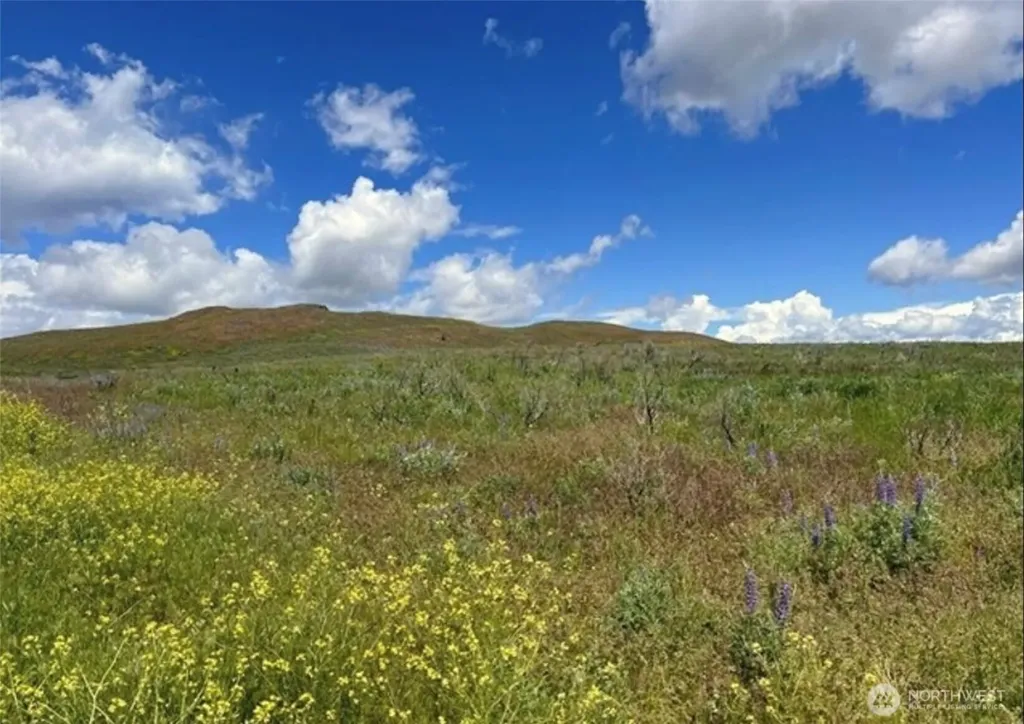 0 Ellemeham Mountain Road Oroville WA 98844